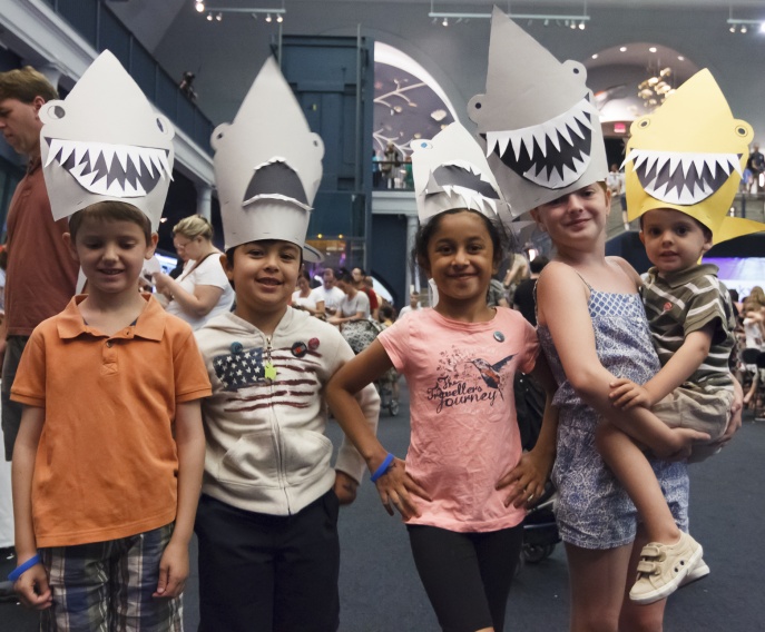 Each of the sharks had a unique personality.