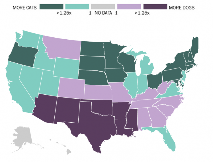 dog-states-cat-states-1407051014.78-71898